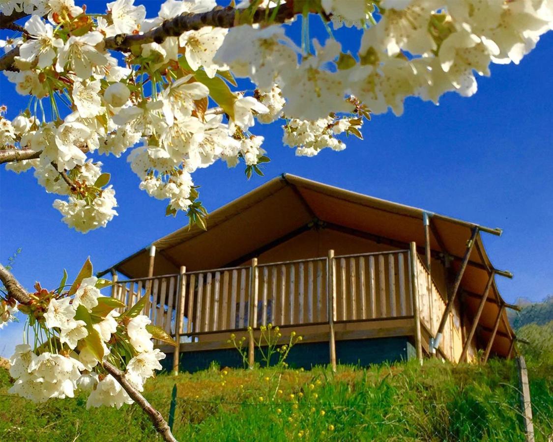 Villaladiva Boutique Glamping Massignano Bagian luar foto